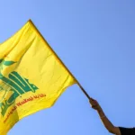 பெருவில் கண்டுபிடிக்கப்பட்ட 16 மில்லியன் ஆண்டுகள் பழமையான டால்பின் புதைபடிவம்