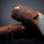 சர்வதேச சந்தையில் மசகு எண்ணெய் விலையில் மாற்றம்