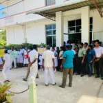 தேராவில் பிரதேசத்தில் காட்டு யானைகள் அட்டகாசம் : யானை வேலி அமைத்து தருமாறு மக்கள் கோரிக்கை
