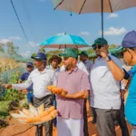 கோவை- கைவிடப்பட்ட நிலையில் மீட்கப்பட்ட 3 மாத யானைக்குட்டி மீண்டு யானைக்கூட்டத்துடன் சேர்ப்பு