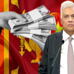 சீனாவில் மனைவியை குப்பை என்று அழைத்த நபருக்கு $4200 அபராதம்