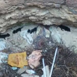 சென்னையில் கோர விபத்து – பெண் பலி – அதிர்ஷ்டவசமாக உயிர் தப்பிய குழந்தை