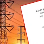 பாகிஸ்தானை புரட்டி போட்ட கனமழை ; 80 பேர் பலி..!