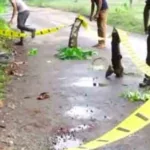 இங்கிலாந்து அணியை கதறவிட்ட இலங்கையில் குட்டி வீராங்கனை