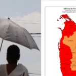 திருகோணமலையில் புதையல் தோண்டிய 13 பேர் கைது!