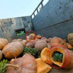 பதவியை ராஜினாமா செய்த ஹைட்டி பிரதமர் ஏரியல் ஹென்றி