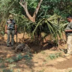 உக்ரைனில் எழுந்துள்ள புதிய சிக்கல்!