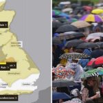இலங்கை – கருவாத்தோட்டம் பிரதேசத்தில் பேருந்து சக்கரத்தில் சிக்கி பாடசாலை மாணவி பலி!