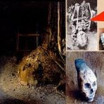 மிரட்டலாக வெளிவந்தது மோகனின் ஹரா படத்தின் ட்ரெயிலர்