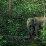 பாகிஸ்தானில் கிறிஸ்தவ சமூகத்தினர் மீது தாக்குதல்