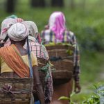 பாலத்தில் இருந்து தவறி விழுந்த பெண் உயிரிழப்பு