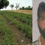 புட்டினுக்கு வெள்ளைநிற நாய்களை பரிசளித்த கிம்!