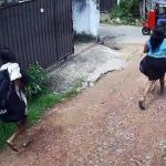 பிரித்தானிய தொலைக்காட்சி தொகுப்பாளரின் உடல் கிரீஸ் தீவில் மீட்பு