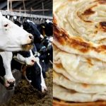 அட்லாண்டிக் பெருங்கடலில் ஆபத்தான பயணத்தை மேற்கொண்ட புலம்பெயர்ந்தவர்கள் மீட்பு!