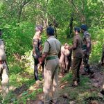 தென் கொரியாவில் பிறப்பு விகிதத்தை அதிகரிக்க முன்வைக்கப்பட்ட யோசனையால் சர்ச்சை