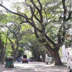 ஜெர்மனியில் பெண்களுக்கு நேர்ந்த கதி – உடற்பயிற்சியில் ஈடுபட்டிருந்தவர்களின் நிலை