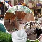 மின்வெட்டு காரணமாக இங்கிலாந்தில் விமான சேவைகள் பாதிப்பு