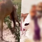 ஒலிம்பிக் போட்டிக்கு தகுதி பெற்ற தமிழக வீரர்