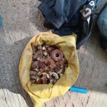யாழில். ஊடகவியலாளர் ஒருவர் திடீரென உயிரிழப்பு