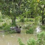 ஸ்லோவாக் பிரதமரை தாக்கிய நபர் மீது பயங்கரவாத குற்றச்சாட்டுகள் பதிவு