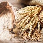 அமெரிக்க ஜனாதிபதி தேர்தல் – நேரடி விவாதத்திற்கு தயாராகும் டிரம்ப் மற்றும் கமலா ஹாரிஸ்