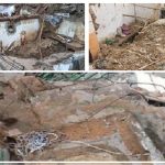 அமெரிக்காவின் புதிய அமைச்சரவையில் எடுக்கப்படவுள்ள நடவடிக்கை – கமலா ஹாரிஸ் தகவல்