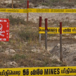 அமெரிக்க அதிபர் தேர்தல்: தன் ஆதரவு தொடர்பில் கருத்து வெளியிட்டுள்ள அதிபர் புதின்