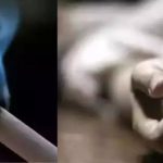 இலங்கை : வரியின்றி வாகனங்களை இறக்குமதி செய்ய முடியாது – பந்துல குணவர்த்தன!