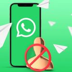 பிரான்ஸில் 6,000 ஆண்டு பழமையான பாலம் கண்டுபிடிப்பு – விஞ்ஞானிகள் வெளியிட்ட தகவல்