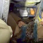 ரஜினிகாந்த் தோட்டா தெறிக்கும் ‘வேட்டையன்’ ட்ரைலர் வெளியானது