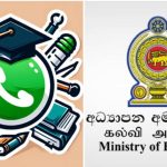 SLvsNZ – நியூசிலாந்தை எளிதில் வீழ்த்திய இலங்கை