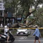 இலங்கையில் காட்டு யானைகளைப் புகைப்படம் எடுக்க முயன்ற மூவருக்கு நேர்ந்த கதி!