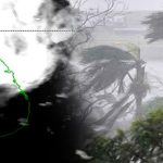 காஸா பகுதியில் இஸ்ரேல் நடத்திய தாக்குதலில் 17 பாலஸ்தீனியர்கள் பலி
