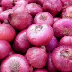 நான்காவது நாளில் வசூல் சரிவை சந்தித்த ப்ளடி பெக்கர்…