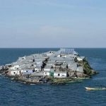 சிரியாவிற்கு ராணுவப் பயிற்சி அளிக்க துருக்கி தயார்: அமைச்சர் தெரிவிப்பு