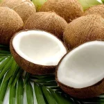 கியூபாவில் முடங்கிய மிகப்பெரிய மின் நிலையம் – மின்சாரமின்றி தவிக்கும் மக்கள்
