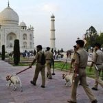 ஆஸ்திரேலியாவில் திடீரென  இரத்தமாக மாறிய கடல் நீர் : குழப்பத்தில் ஆய்வாளர்கள்!