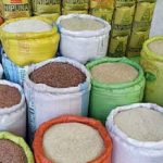 பால்டிக் கடலுக்கு அடியில் சுரங்கம் அமைக்கும் திட்டம் : ஏற்பட்டுள்ள சர்ச்சை!