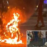 எச்-1 பி விசா தொடர்பில் தனது நிலைப்பாட்டை மாற்றி கொண்ட டொனால்ட் ட்ரம்ப்