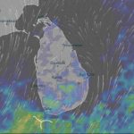 எலான் மஸ்க் மகனின் செயல் – அமெரிக்காவில் 145 ஆண்டு பாரம்பரியத்தில் மாற்றம்?