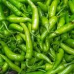 திடீரென வைத்தியசாலையில் அனுமதிக்கப்பட்டர் கங்கை அமரன்
