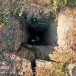 காசா மனிதாபிமான நெருக்கடி குறித்து விவாதிக்க ஐக்கிய அரபு அமீரகம், இஸ்ரேல் வெளியுறவு அமைச்சர்கள் சந்திப்பு