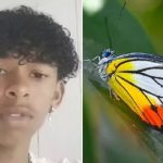 அநேகமாக இந்த மாதம் புடினை சந்திப்பேன் ; டொனால்ட் டரம்ப்