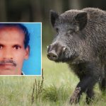 அமெரிக்கா வழியாக கனடாவிற்குள் நுழைய முயன்ற 15 பேர் கைது