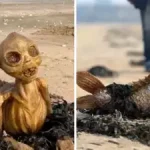 “குட் பேட் அக்லி”யின் இரண்டாவது பாடல் குறித்து குட் நியுஸ்