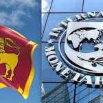 மெக்சிகோவில் மன உளைச்சலில் யானை – முதல் முறையாக நீதிமன்றம் விடுத்த உத்தரவு