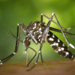 காஸாவில் உள்ள மருத்துவமனை மீது இஸ்ரேல் தாக்குதல் – ஐவர் பலி