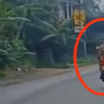 தாய்லாந்தில் மோட்டார் சைக்கிளில் பயணித்த பிரித்தானி பிரஜைக்கு நேர்ந்த விபரீதம்!