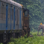 பதற்றமான சூழலுக்கு மத்தியில் ஒரு மாத உக்ரைன் போர் நிறுத்தத்தை முன்மொழியும் இங்கிலாந்து மற்றும் பிரான்ஸ்