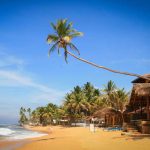 இலங்கை தனது கடன்களைத் தீர்க்க வழிகளைக் கண்டறிய வேண்டும் – ரணில் வலியுறுதல்!